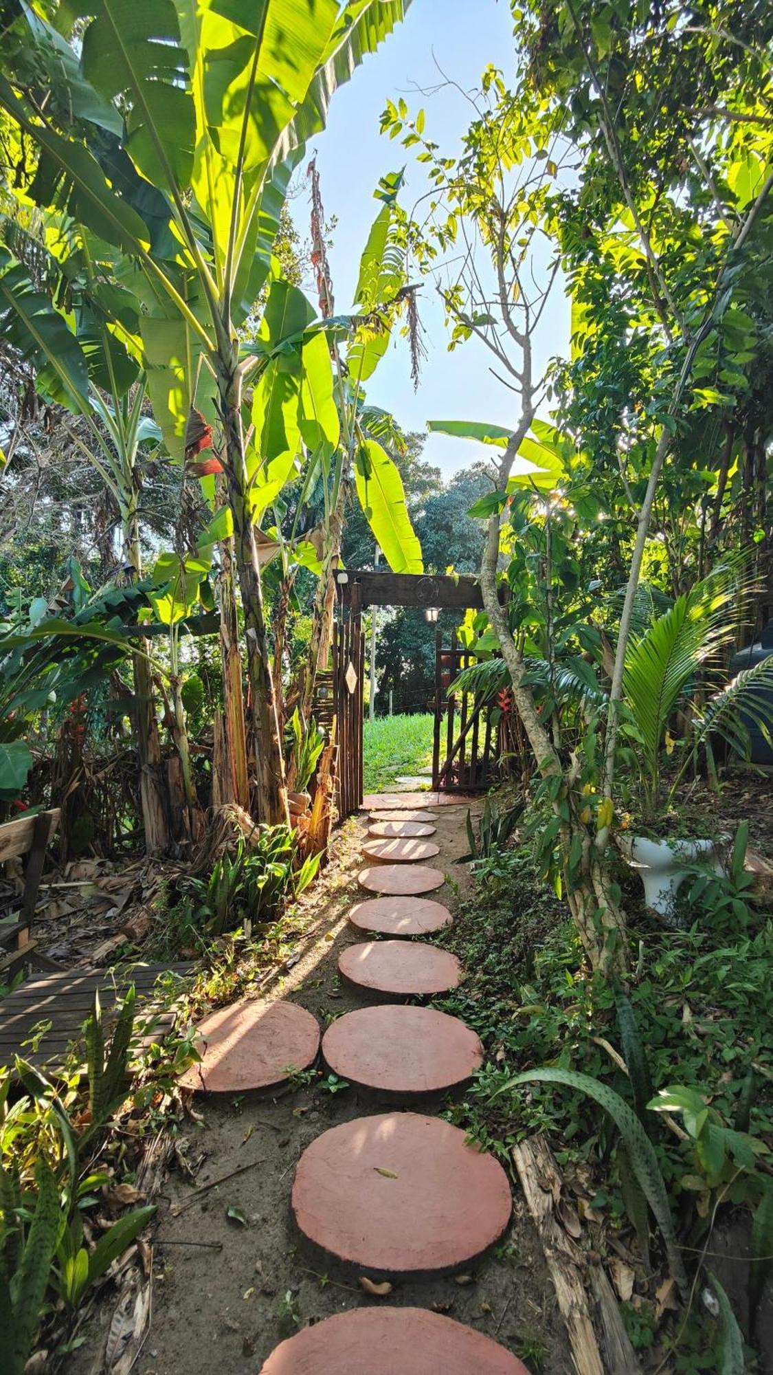 Eco Hostel Bosque Di Barro Velha Boipeba Buitenkant foto